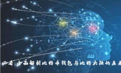2025必看：全面解析比特币钱包与比特大陆的未来