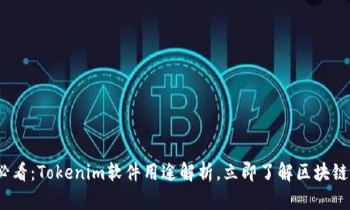 2025必看：Tokenim软件用途解析，立即了解区块链新趋势