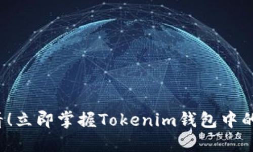 2025必看！立即掌握Tokenim钱包中的最佳应用