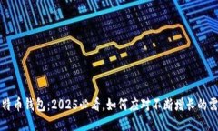比特币钱包：2025必看，如何应对不断增长的需求