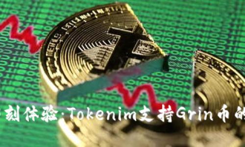 2023年即刻体验：Tokenim支持Grin币的全新机遇