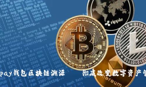 2025必看：tpay钱包区块链溯源——彻底改变数字资产管理的新时代