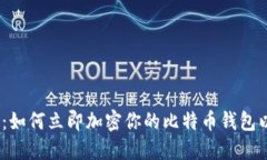 2025必看：如何立即加密你的比特币钱包以确保安