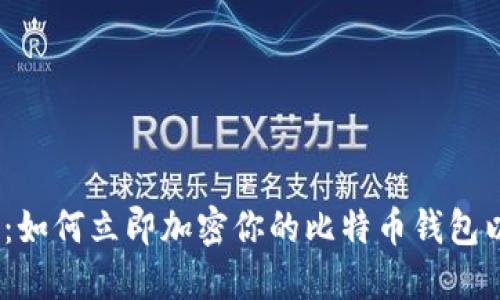 2025必看：如何立即加密你的比特币钱包以确保安全