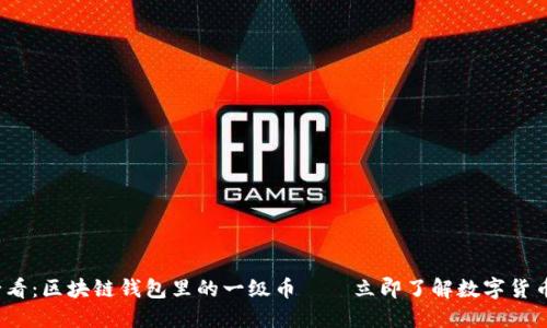 2025必看：区块链钱包里的一级币——立即了解数字货币新纪元