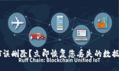 比特币钱包QT误删除？立即恢复您丢失的数据的技