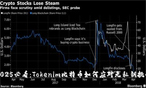 2025必看：Tokenim比特币如何应对无私钥挑战