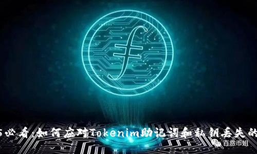 2025必看：如何应对Tokenim助记词和私钥丢失的困境