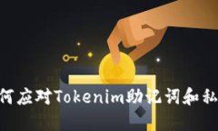 2025必看：如何应对Tokenim助记词和私钥丢失的困境