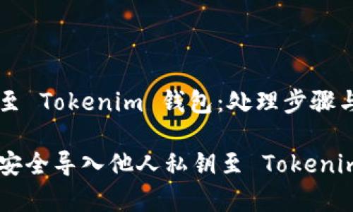 导入他人私钥至 Tokenim 钱包：处理步骤与安全风险分析

立即学习如何安全导入他人私钥至 Tokenim 钱包！