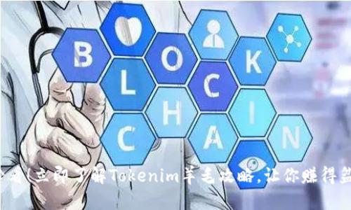 2025必看！立即了解Tokenim羊毛攻略，让你赚得盆满钵满