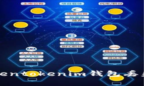 2025必看：如何应对Tokentokenim钱包丢失的危机，立即采取行动！