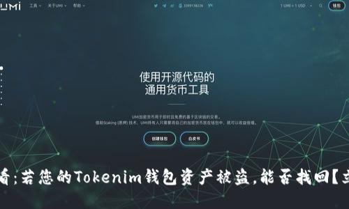 2025必看：若您的Tokenim钱包资产被盗，能否找回？立即了解！