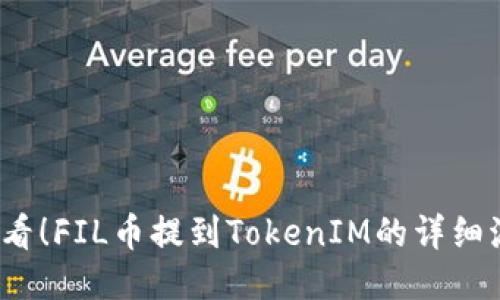2025必看！FIL币提到TokenIM的详细流程教程