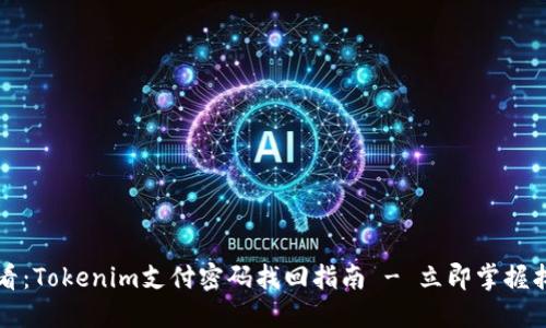 2025必看：Tokenim支付密码找回指南 - 立即掌握找回技巧！