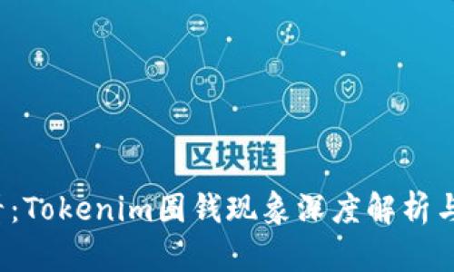 2025必看：Tokenim圈钱现象深度解析与投资指南