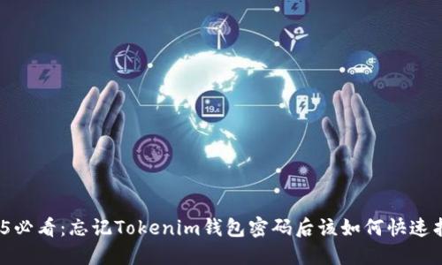 2025必看：忘记Tokenim钱包密码后该如何快速找回？