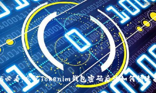 2025必看：忘记Tokenim钱包密码后该如何快速找回？