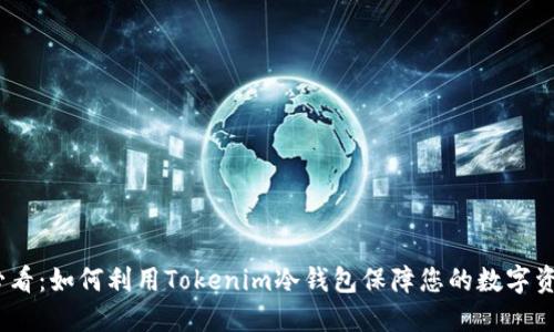 2025必看：如何利用Tokenim冷钱包保障您的数字资产安全