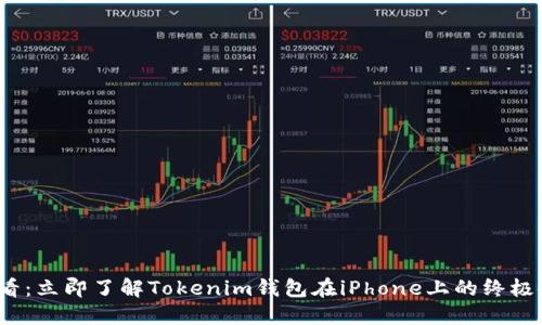 2025必看：立即了解Tokenim钱包在iPhone上的终极使用指南