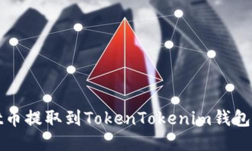 如何将Bit币提取到TokenTokenim钱包：详细指南