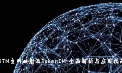 BTM主网映射及TokenIM：全面解析与应用指南