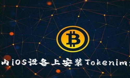 如何在国内iOS设备上安装Tokenim：详细指南