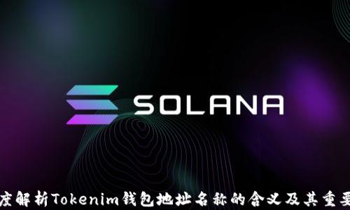 
深度解析Tokenim钱包地址名称的含义及其重要性