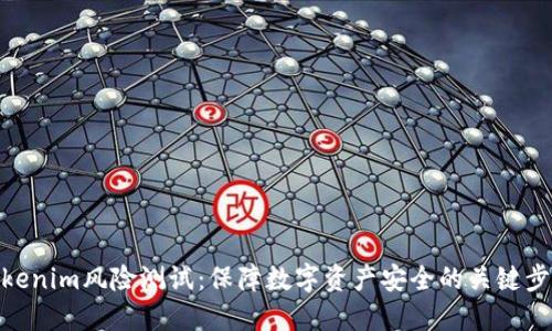Tokenim风险测试：保障数字资产安全的关键步骤