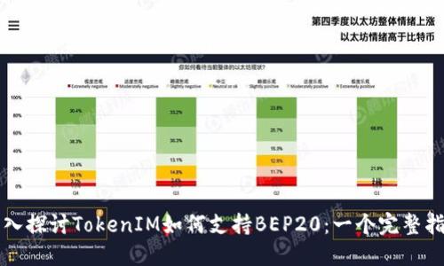 深入探讨TokenIM如何支持BEP20：一个完整指南