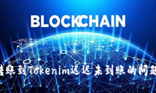 如何解决转账到Tokenim迟迟未到账的问题：全面指南