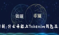 全面解析：什么币能上Tokenim钱包及其优势