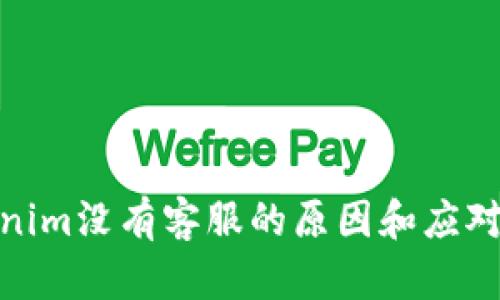 Tokenim没有客服的原因和应对策略