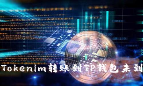 如何解决Tokenim转账到TP钱包未到账的问题