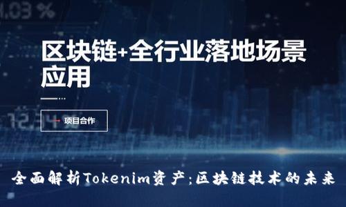 全面解析Tokenim资产：区块链技术的未来