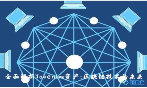 全面解析Tokenim资产：区块链技术的未来