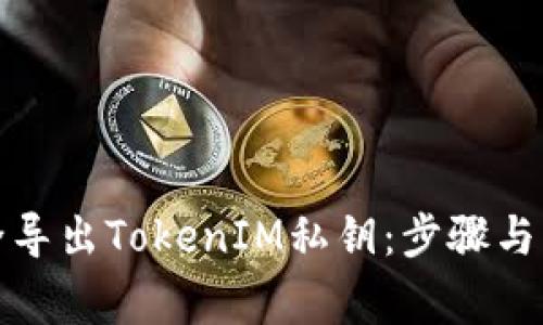 如何安全导出TokenIM私钥：步骤与注意事项