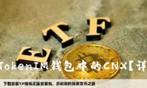 什么是TokenTokenIM钱包中的CNX？详解与使用指南