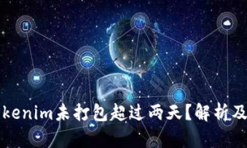 为什么Tokenim未打包超过两天？解析及解决方案