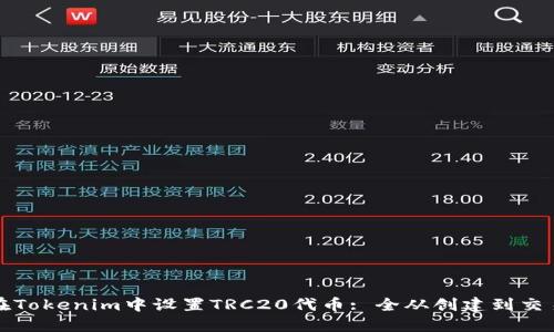 如何在Tokenim中设置TRC20代币: 全从创建到交易详解
