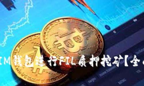 如何利用TokenTokenIM钱包进行FIL质押挖矿？全面指南及常见问题解析
