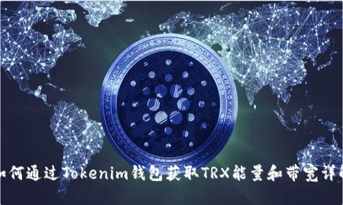 如何通过Tokenim钱包获取TRX能量和带宽详解