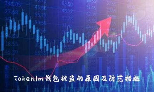 Tokenim钱包被盗的原因及防范措施