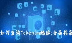如何查询Tokenim地址：全面指南