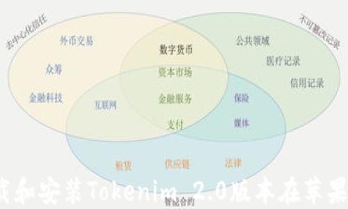 
如何下载和安装Tokenim 2.0版本在苹果设备上？