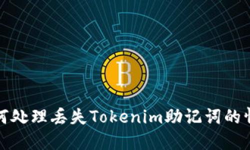 如何处理丢失Tokenim助记词的情况