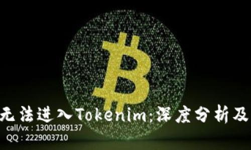 ETC为何无法进入Tokenim：深度分析及解决方案