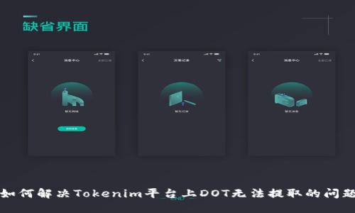 如何解决Tokenim平台上DOT无法提取的问题