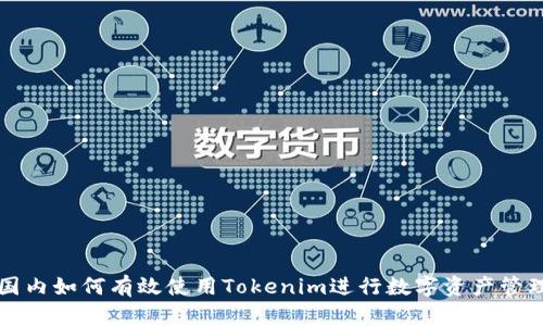 国内如何有效使用Tokenim进行数字资产管理