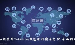 如何使用Tokenim钱包进行安全支付：全面指南